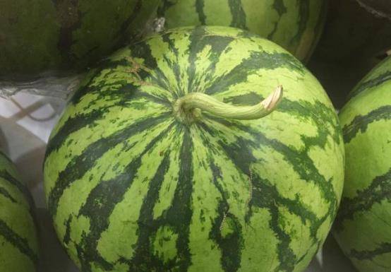 怎么挑选西瓜简单实用的方法 56132a4fe3aa40b8bce67d481674810c.jpeg