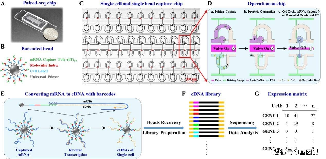 通量gdp_电通量试验仪器照片(3)