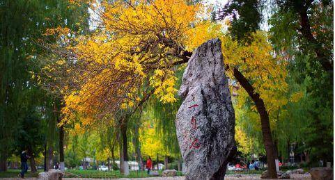 政治|2021年中国人民大学设计艺术学专业考研经验分享