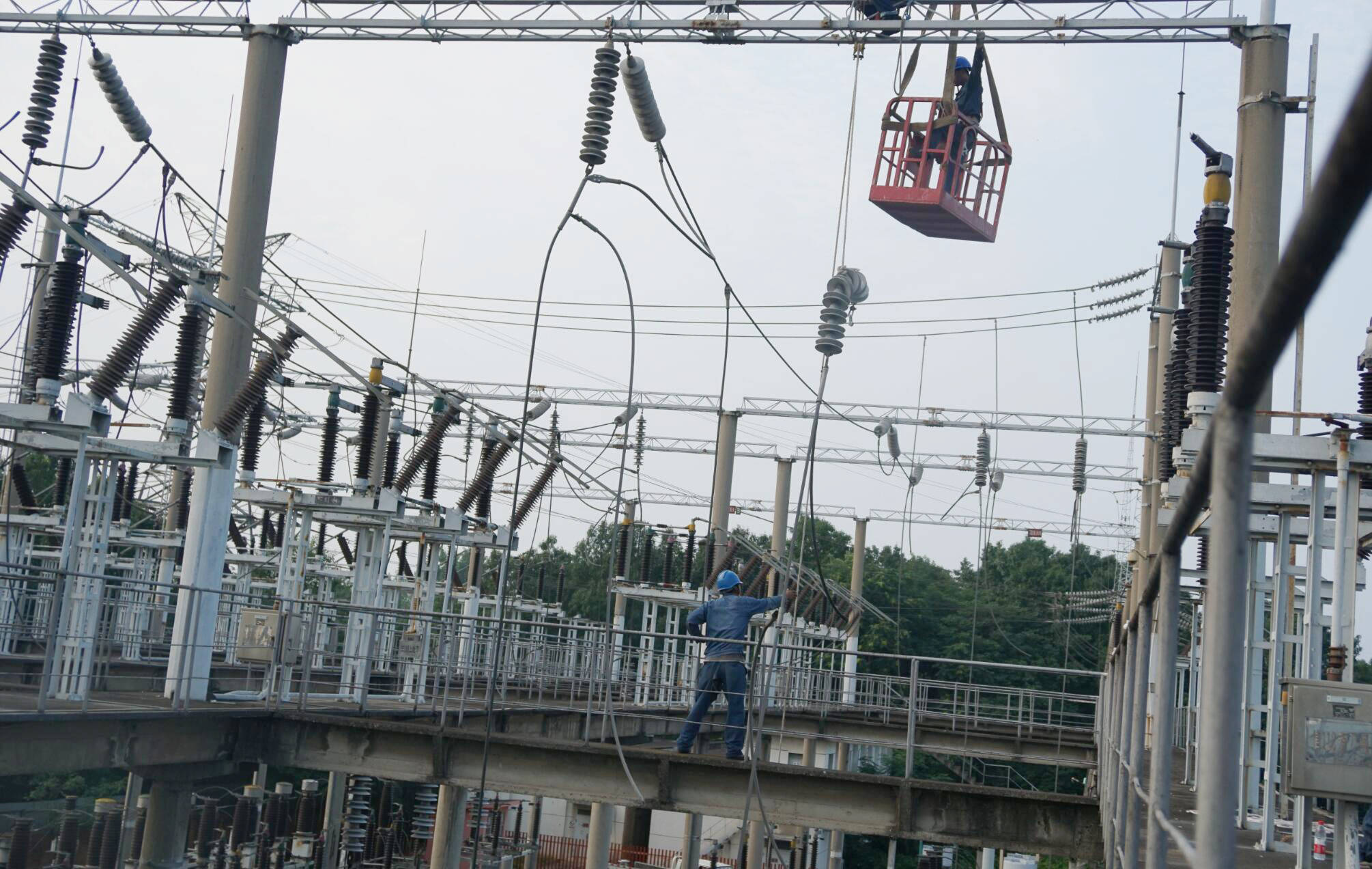 信阳2019经济总量_信阳毛尖图片(2)