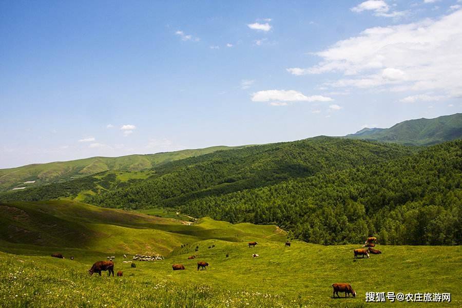 端午逃离人海,甘肃竟藏着这些绝美景点,这才是夏天最心动的地方