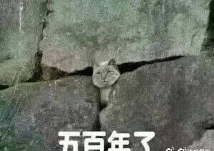 负土什么坟成语_成语故事简笔画(4)