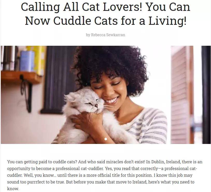 猫人|国外某公司招聘职业撸猫人,月薪2万欧!想去?先学会撸猫吸猫英文吧