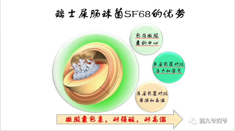 284c8761bc7c43cca8c0f5cc148a2c9c.png