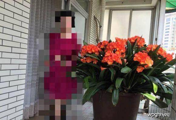 盆栽花卉怎么养护好 c2053cf389684bbfbe416f8476693012.jpeg