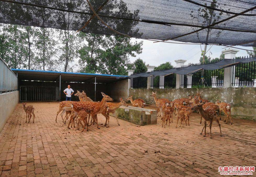 六安市农业gdp_六安市地图(3)