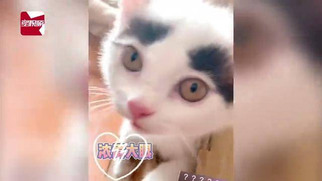 e9b9379d55b8461da8321d3c5784ef53.jpeg