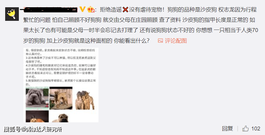 网友|GD被控诉弃养家中两只沙皮犬!网友:真差劲糟糕!有钱还不请人看!