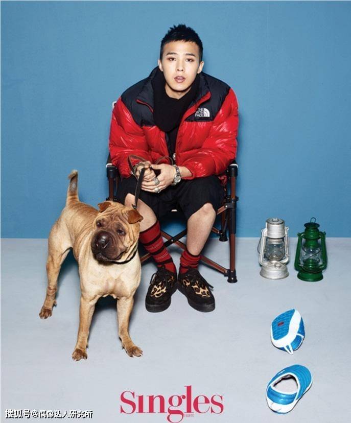 网友|GD被控诉弃养家中两只沙皮犬!网友:真差劲糟糕!有钱还不请人看!