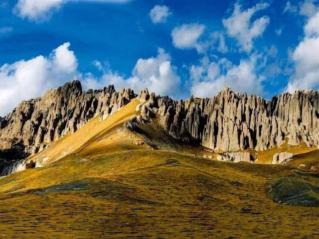 天峻山# 天峻山,为环青海湖13名山之一,是风景独特的夏季游览胜地.