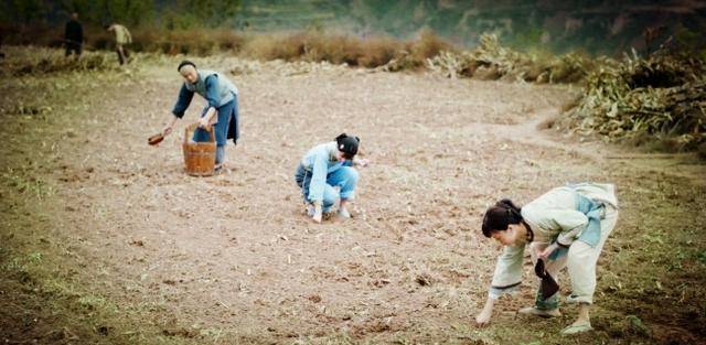 原创古代农民幸福指数最高的朝代,有些人可能有些意外,没错就是清朝