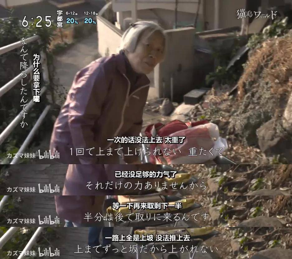 生活|吸了200只猫!”“我在一座与世隔绝的岛上