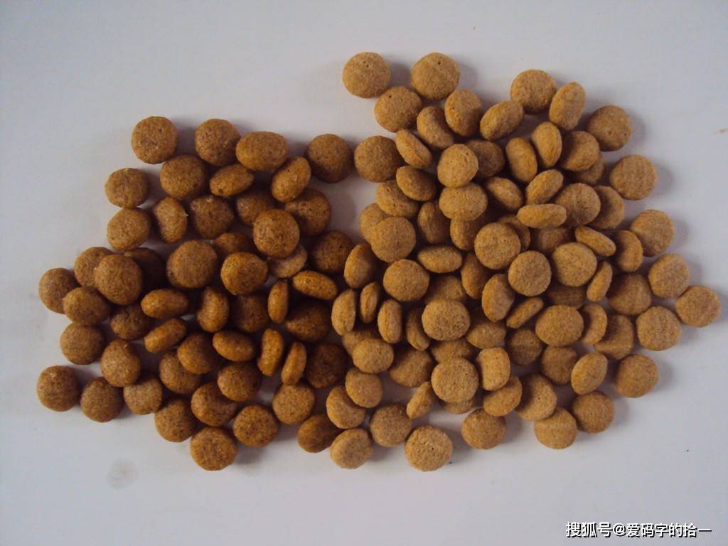 膨化饲料优点有哪些?水分检测的方法及仪器有哪些?