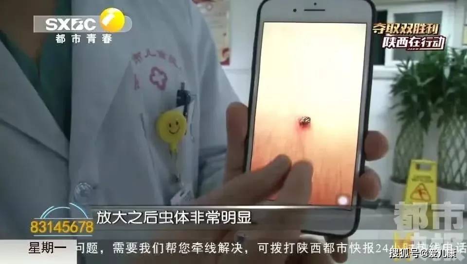 脖子|3岁女宝脖子多个小黑点！家长仔细一瞅，魂都吓掉了……油菜花里转一圈