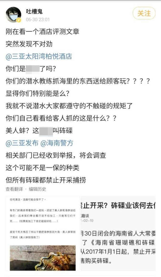 三亚|陈学冬潜水捡垃圾巨大渔网，发文举报柏悦酒店非法捕捞砗磲