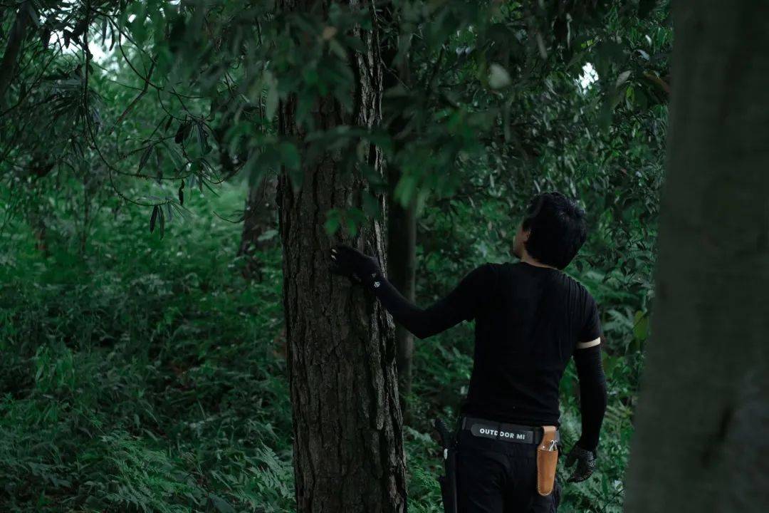 空间|原创他抛下公司不管,把破罐当宝,7年后成江南第一“花痴”