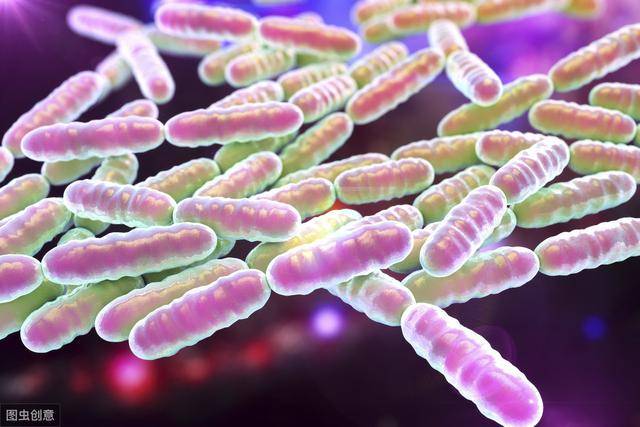 肠道|宝宝没必要吃为什么吃了益生菌没起作用？这些情况下