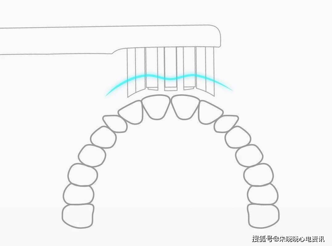 人类牙齿为何如此脆弱