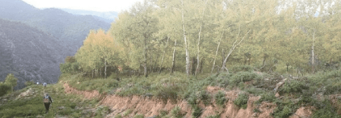 蔡文姬|秦始皇为什么要修建“秦直道”