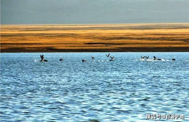 疯子的世界是什么样子的 f6a0307405844c189e1a25b79f55f4b3.jpeg