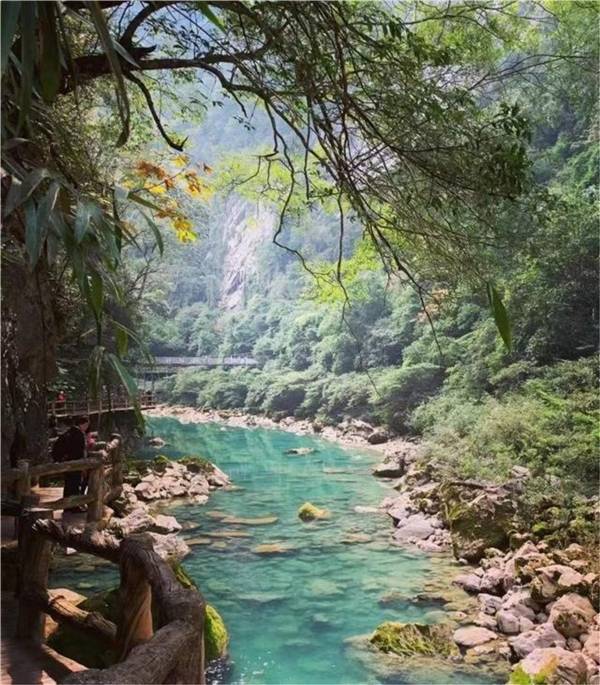 中国最美十大森林之一 3e2113a19750490893be0e05633600da.jpeg