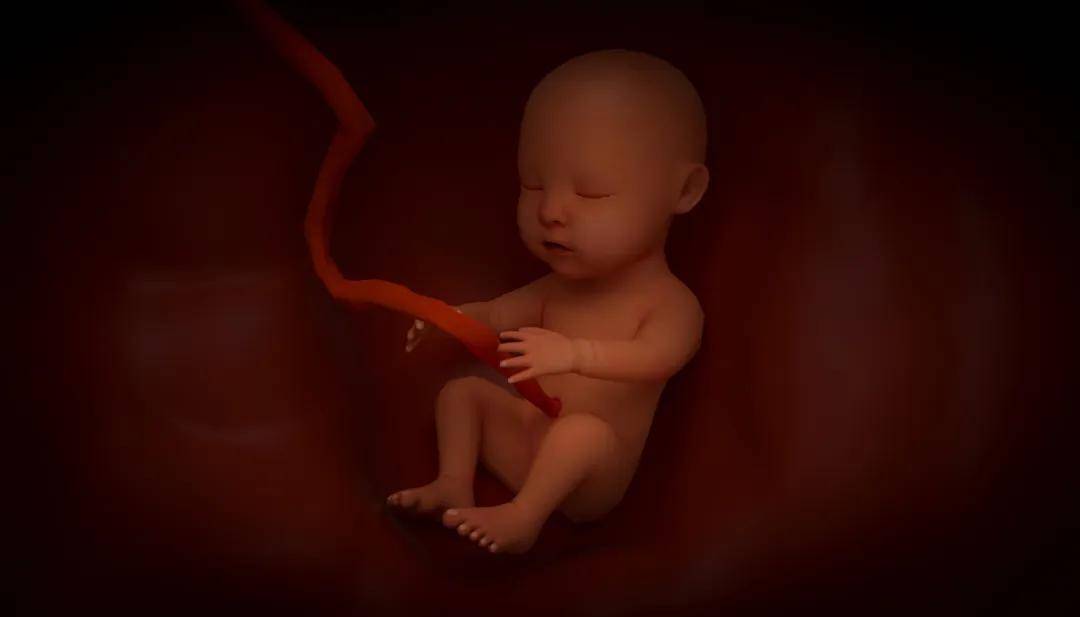 孕妇|多喝骨头汤就能补钙？孕期补钙要注意这些误区！