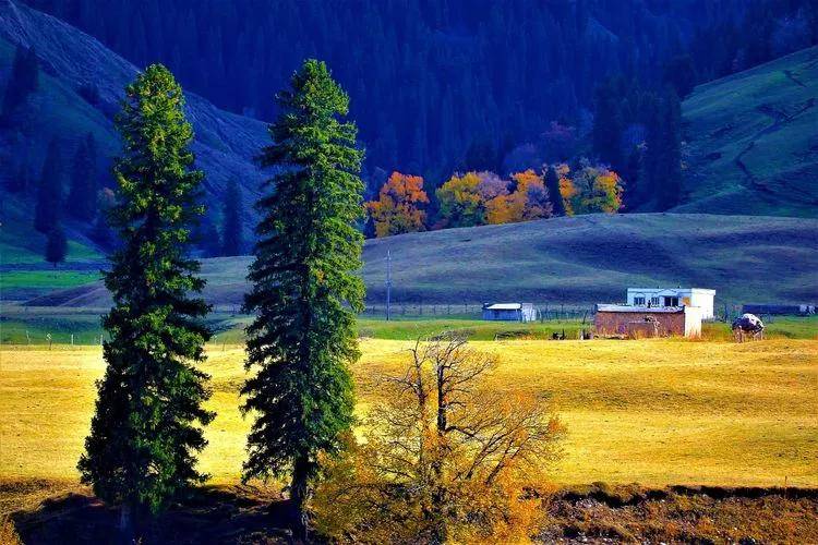 行百里画廊 观唐布拉美景_尼勒克县