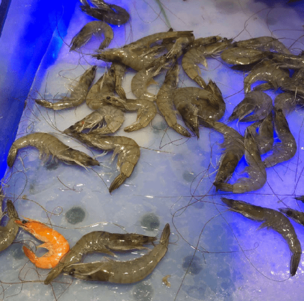 原创
笑到胃痛的台词:给你送点冰淇淋,预防感冒!网友:啥玩意儿?