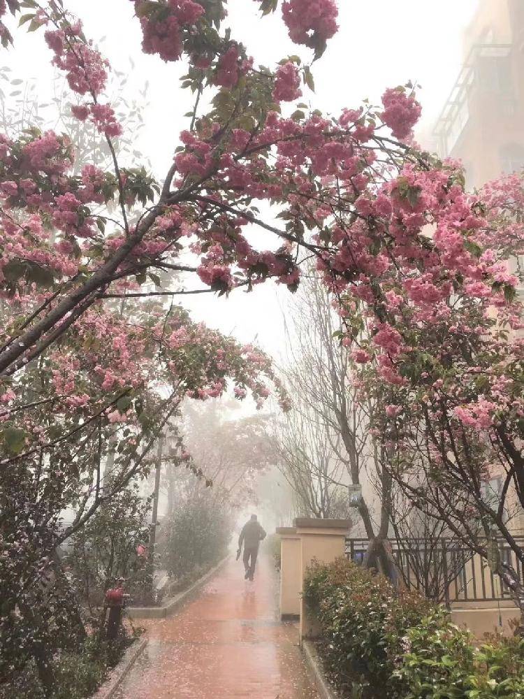 “我爱我家”作品大赛投票环节即将开启 万余元现金大奖等你拿