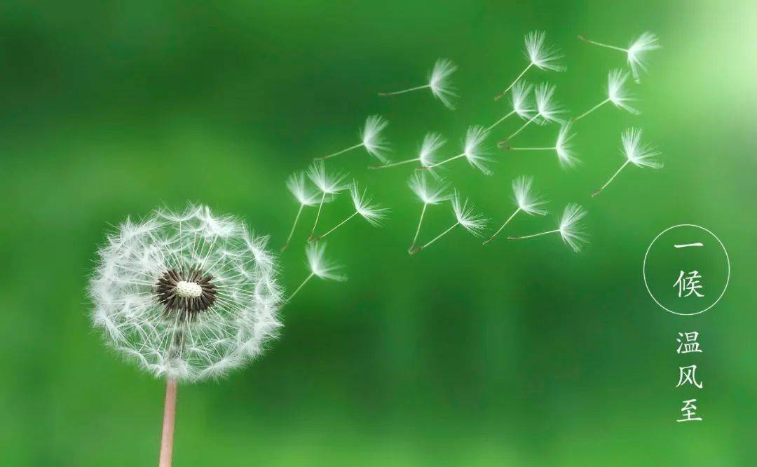 丫环|井栏壶中寓意深，不懂井栏壶，人生难成功！出梅入伏，高考顺利