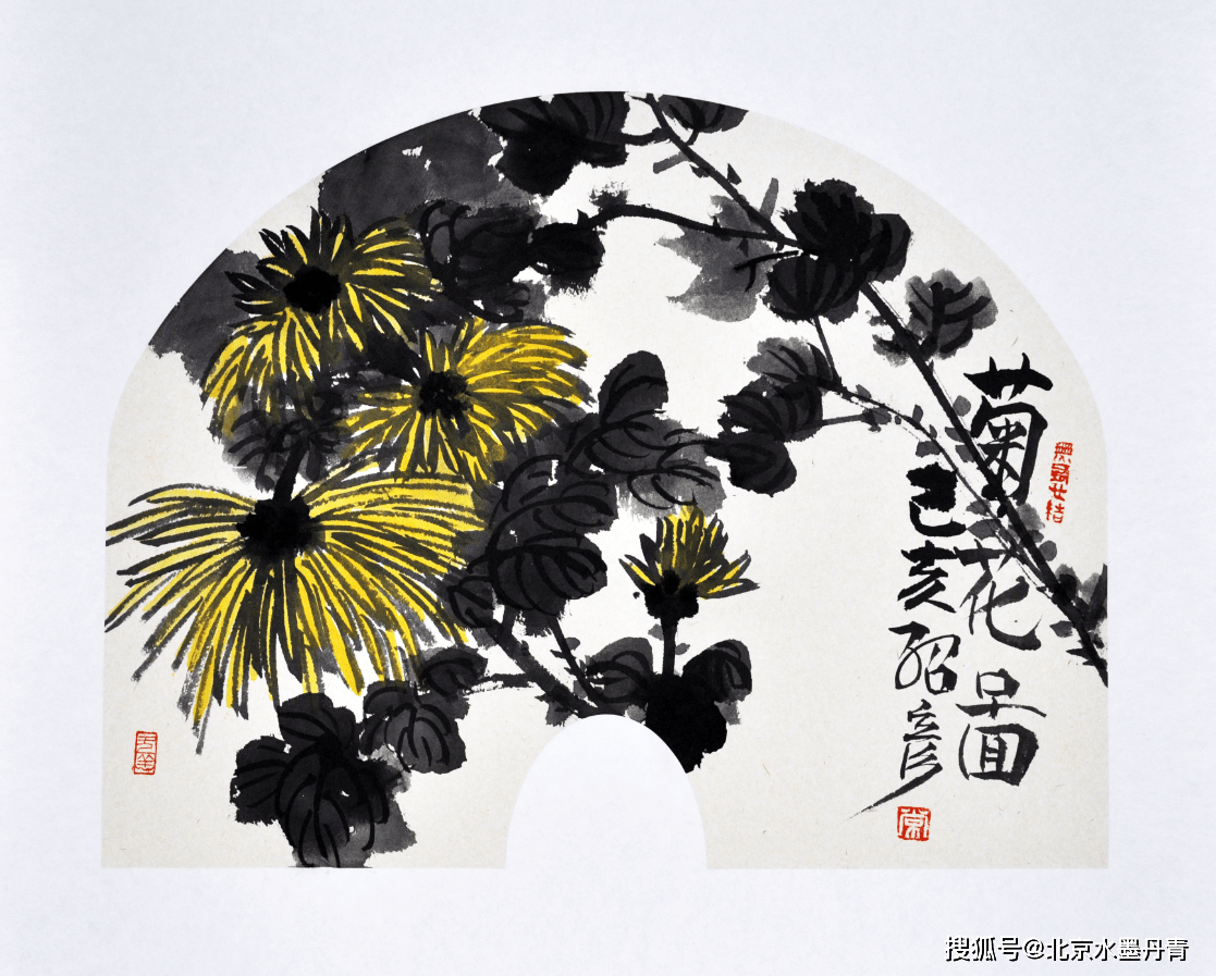 《菊花图》,作品尺寸:35cmx38cm,创作时间:2019年,作品材质:纸本水墨