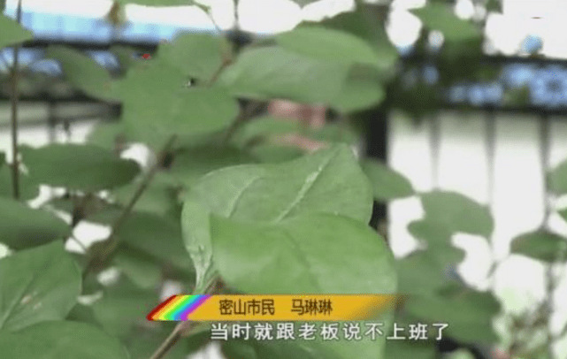 检查已怀孕，女子辞职在家养胎，医院：弄错了！