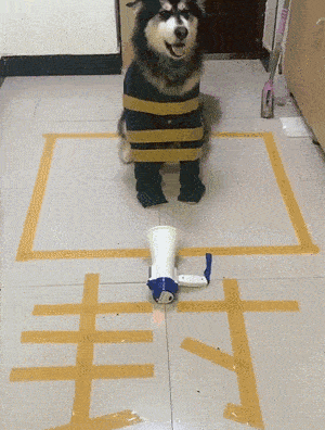 原创搞笑gif:门太小了东西拿不进家,这就尴尬了