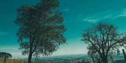 心声|听听这些过来人心声，2020高考还敢选错专业吗？