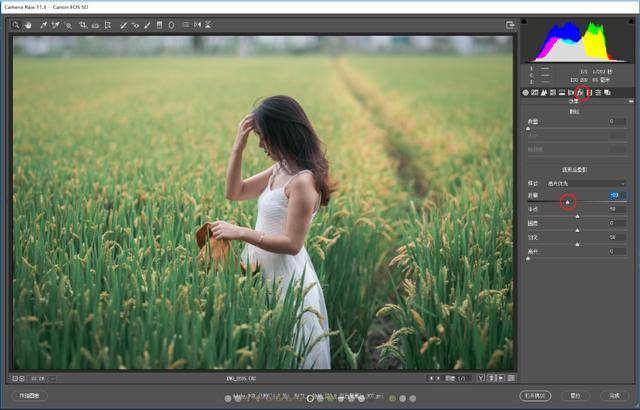 色调|探图摄影师专栏｜如何调整出一张“色调较强的低饱和”照片