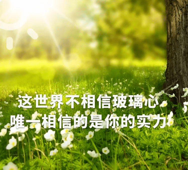 心灵鸡汤经典语录2020精选_正能量励志语录