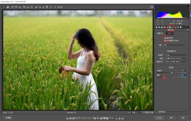 色调|探图摄影师专栏｜如何调整出一张“色调较强的低饱和”照片