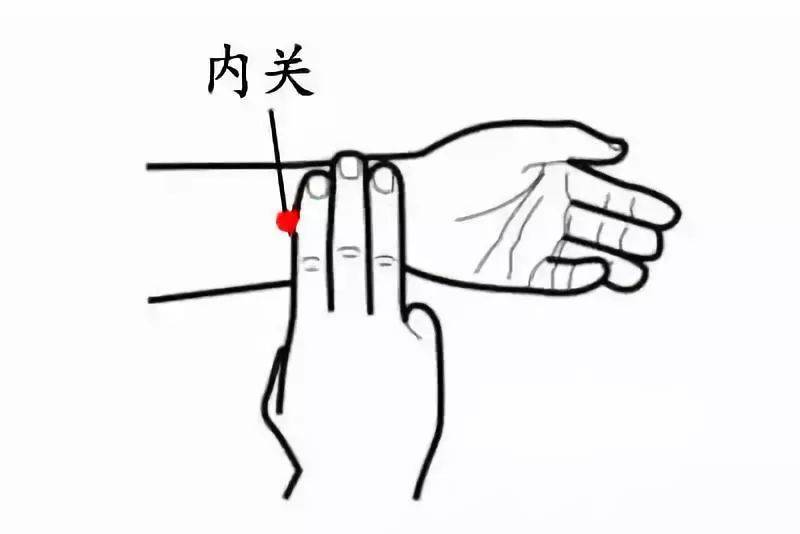 合谷穴:俗称虎口,在第一,二掌骨之间,第二掌骨桡侧的中点处.