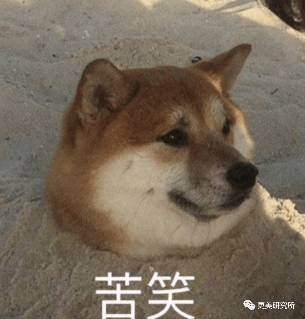 fa|林志玲嫁到日本的第12个月，整的叛若两人！