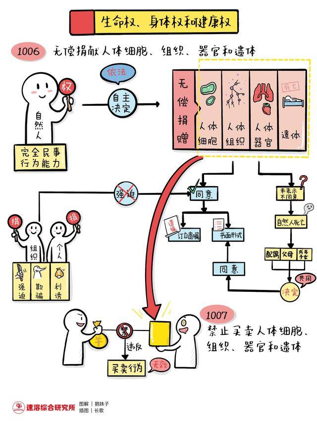 图解《民法典》|生命权,身体权,健康权,姓名权和名称权_人体