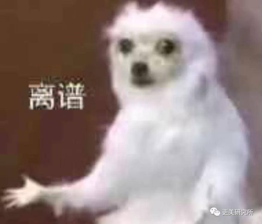 fa|林志玲嫁到日本的第12个月，整的叛若两人！