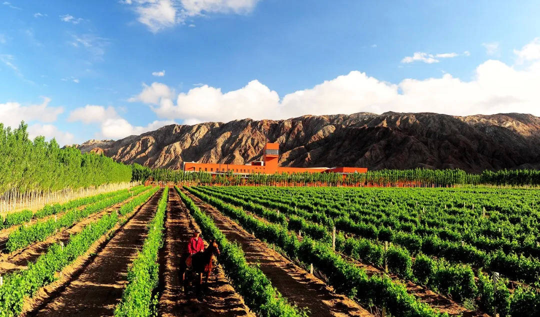 消息资讯|天塞十年，它活成陈立忠理想中的样子了吗？