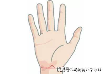 怎么给人看面相手相 eb38062a50e74feda6a5efb5b6a9ead2.jpeg