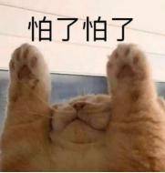 宇文邕|贡米米热主演,炸毛医女遇上腹黑帝王,反套路的古言剧居然这么甜