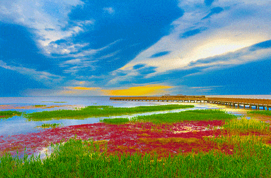 530_350