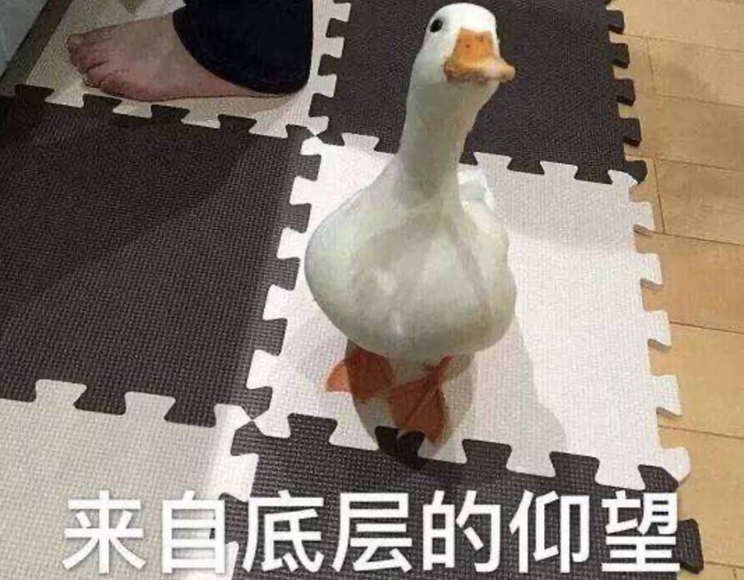 这个世界,根本就没有公平可言