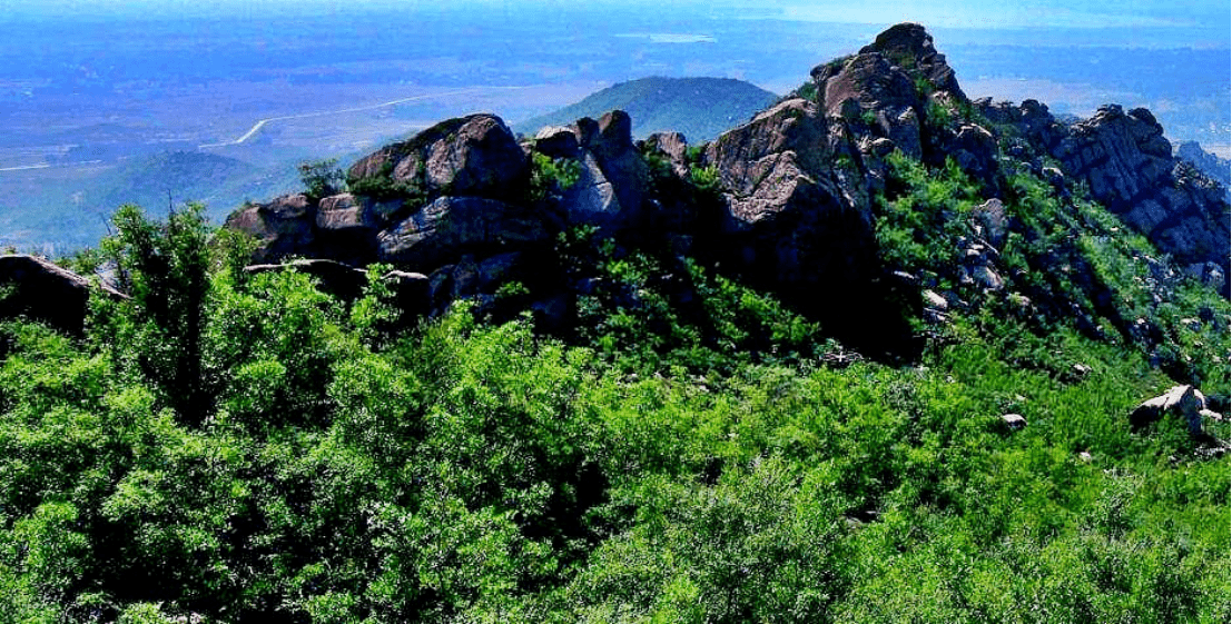 东林山全貌