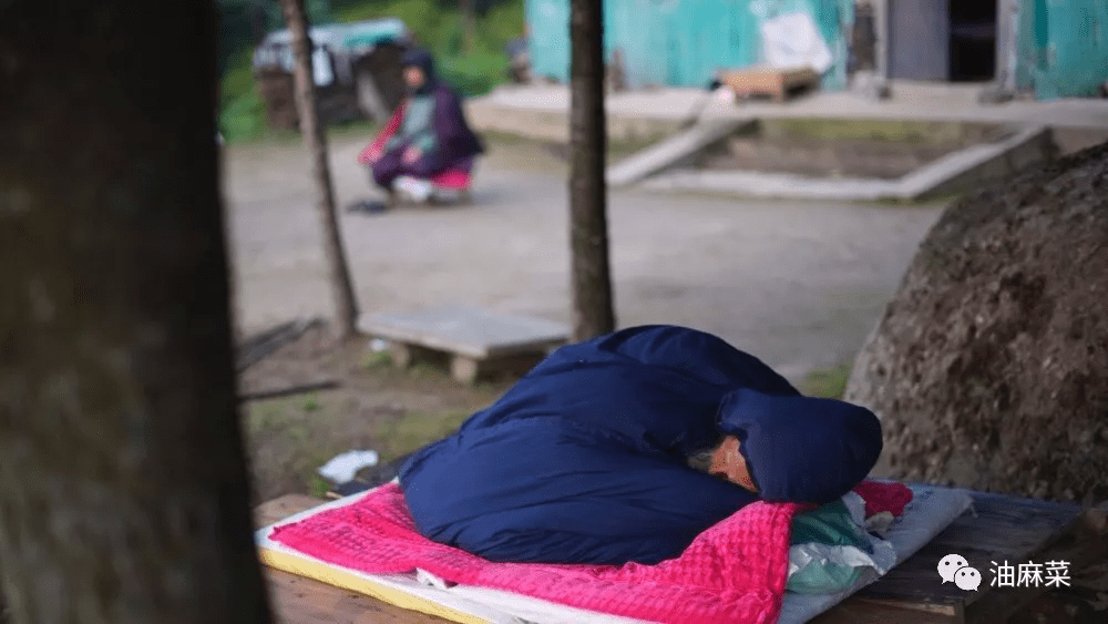 「油多拉」南山隐修人(三十二)张至顺道长解读《清静