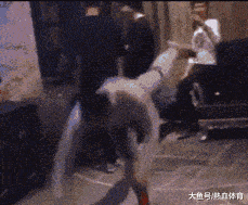 原创搞笑gif动图:我去,完了完了,这东西要成精了,太逗了,哈哈