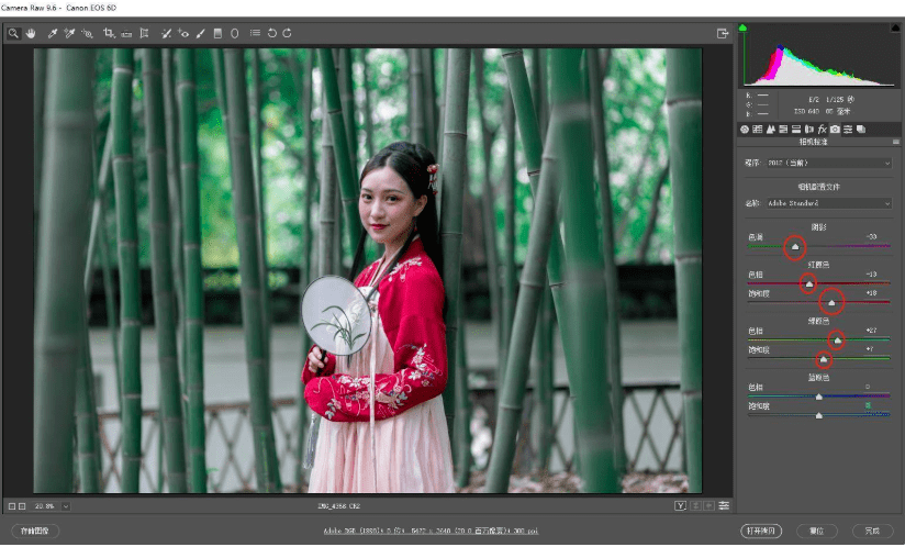 调整|探图摄影师专栏｜古装竹林人像调色详解